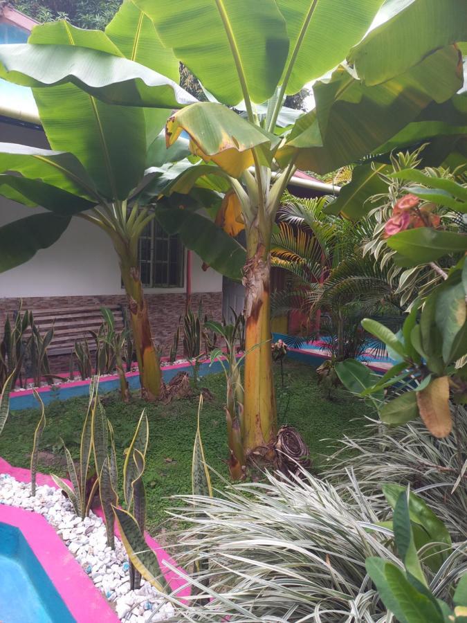 Ferienwohnung Eco-Cafe El Mirador Guachaca Exterior foto