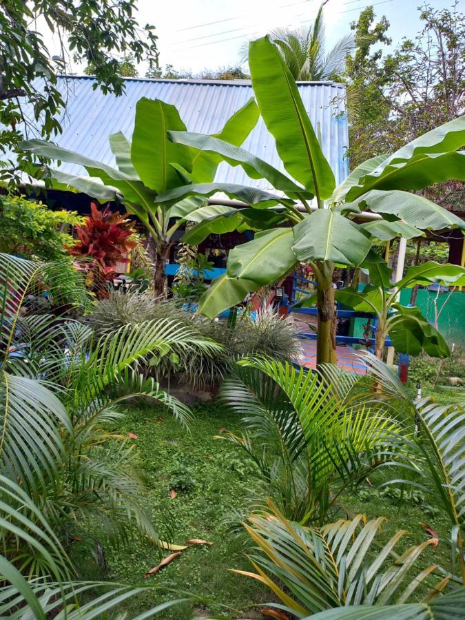 Ferienwohnung Eco-Cafe El Mirador Guachaca Exterior foto